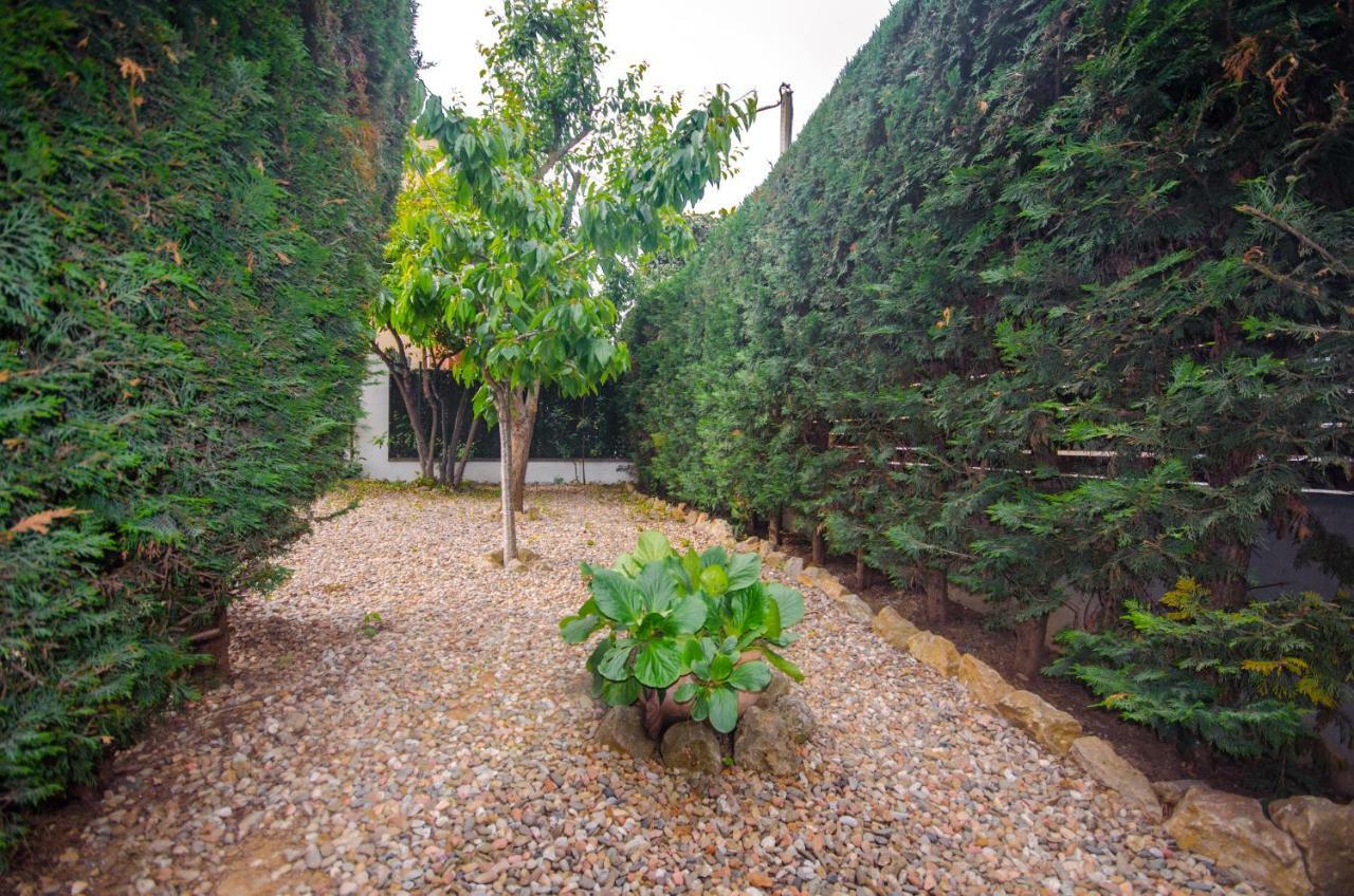 Casa Con Piscina Y Parking En
